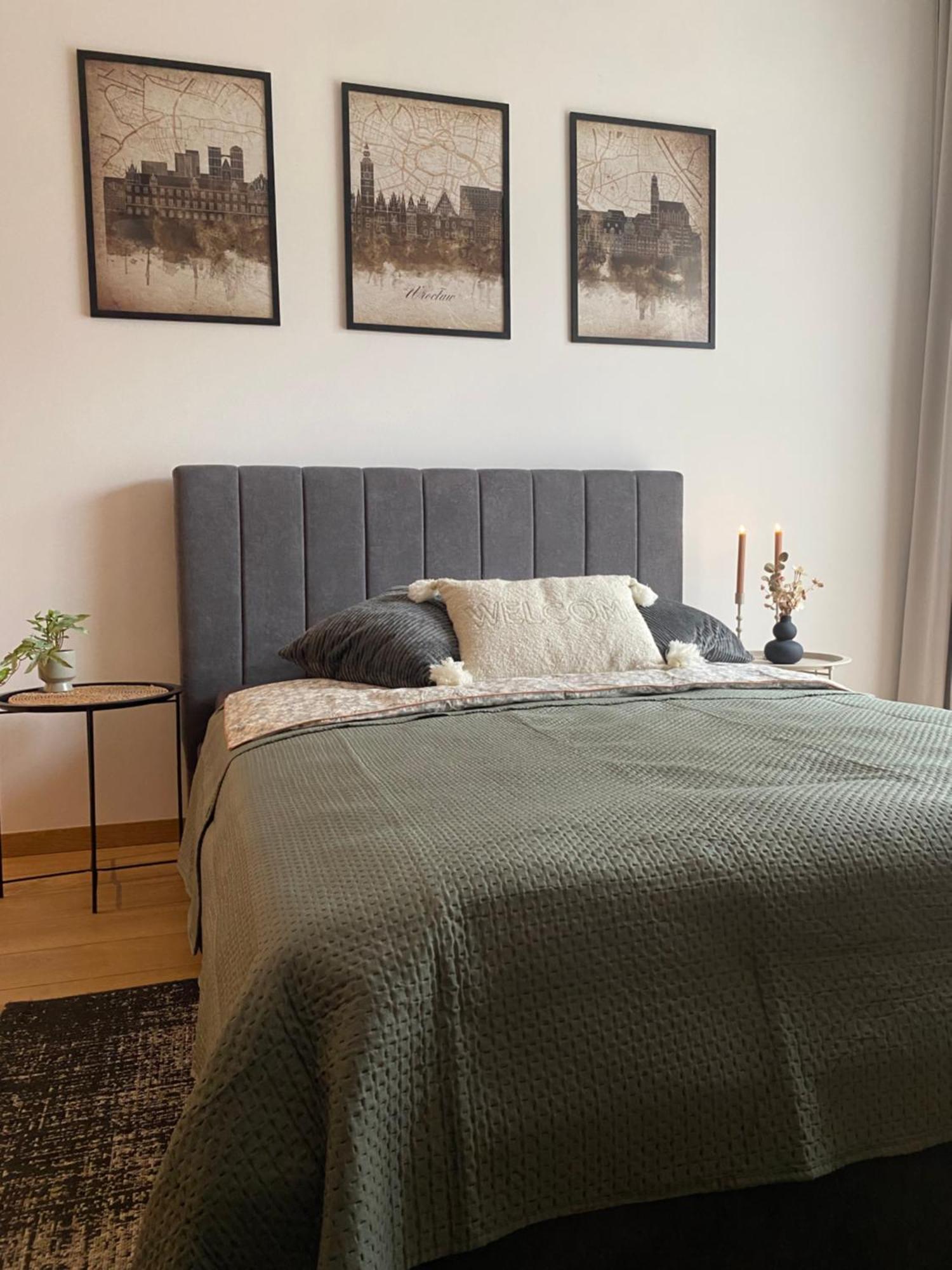 Apartament Nad Stara Odra فروتسواف المظهر الخارجي الصورة