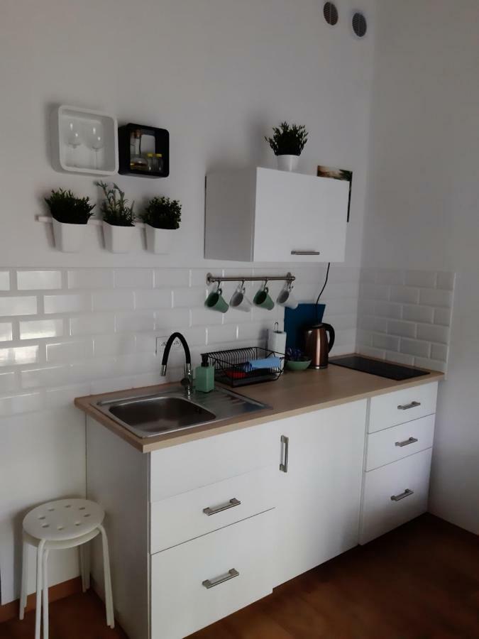 Apartament Nad Stara Odra فروتسواف المظهر الخارجي الصورة